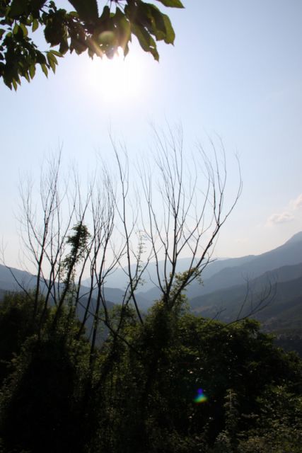 2010 07 13 jeanmarcperfetti.com 017.JPG